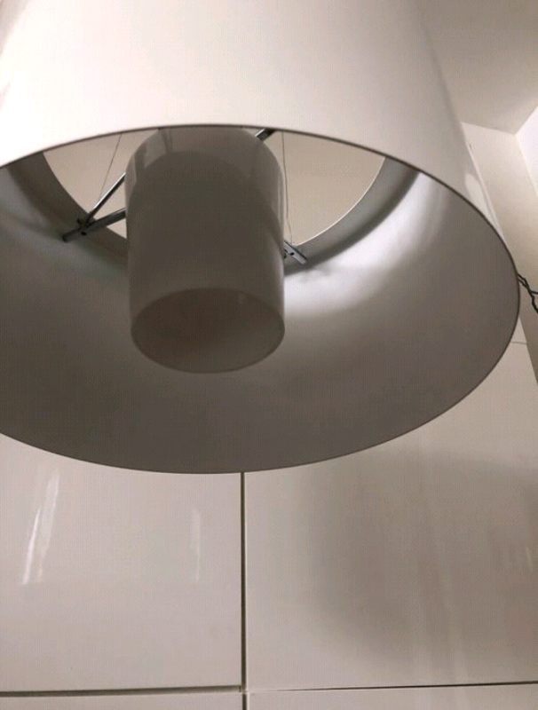 REDUCED TO CLEAR Flos Ray S pendant lamp 