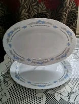 Blue Floral Microwave Safe Oval Serving Platter Set Of 2