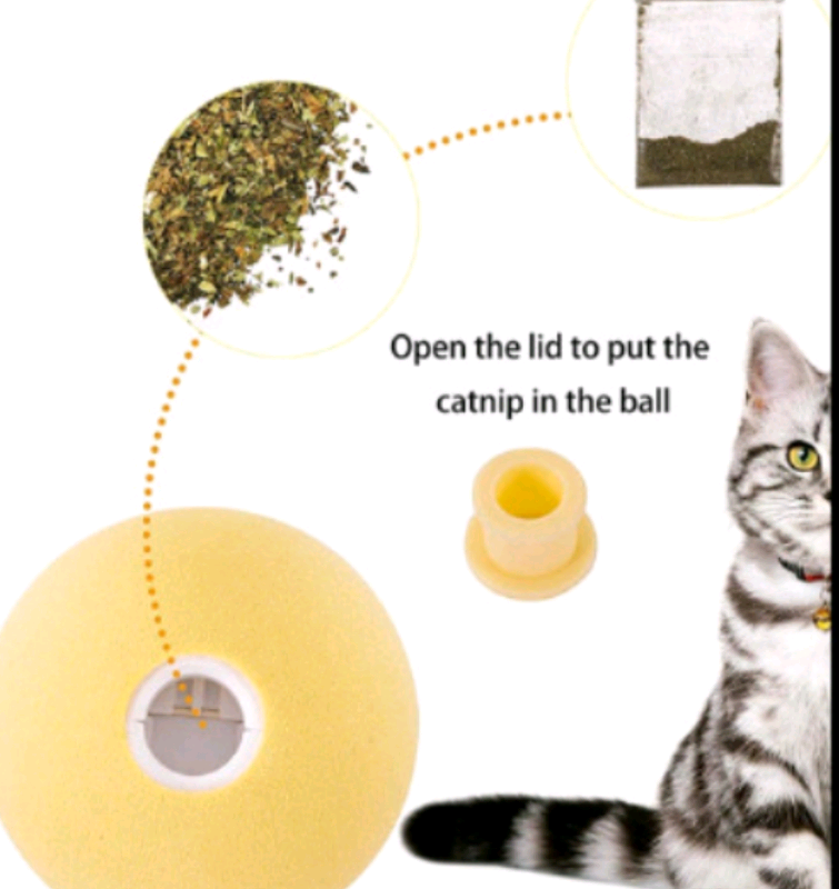 cat toys