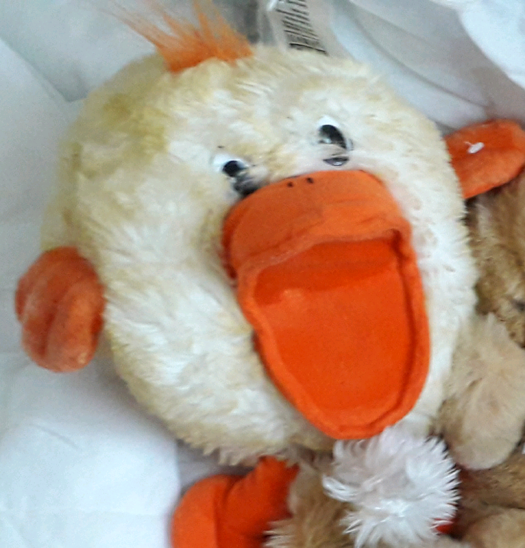Chick soft toy