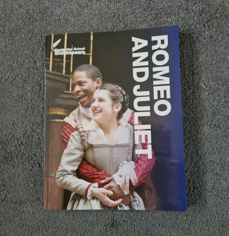 Romeo and juliet novel and guide for GCSEs 