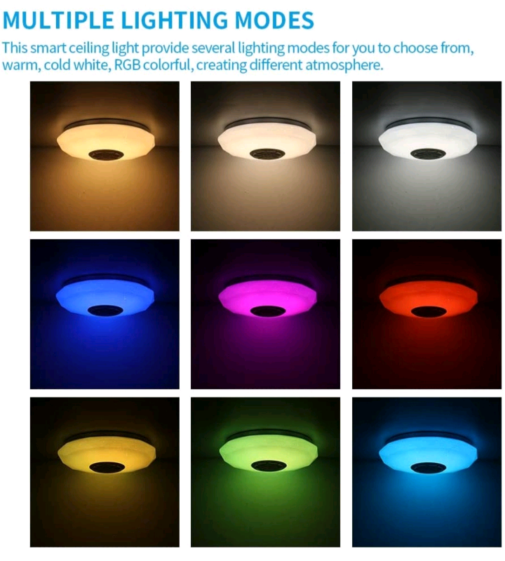 Ceiling Light, Multicolor, Bluetooth Speaker, APP, remote control 