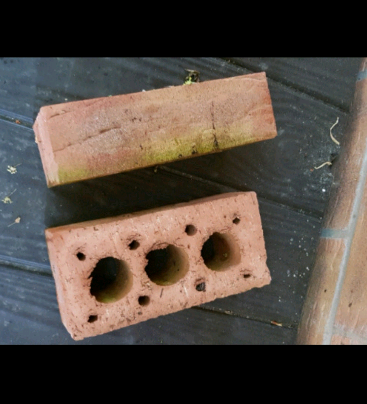 image for Bricks