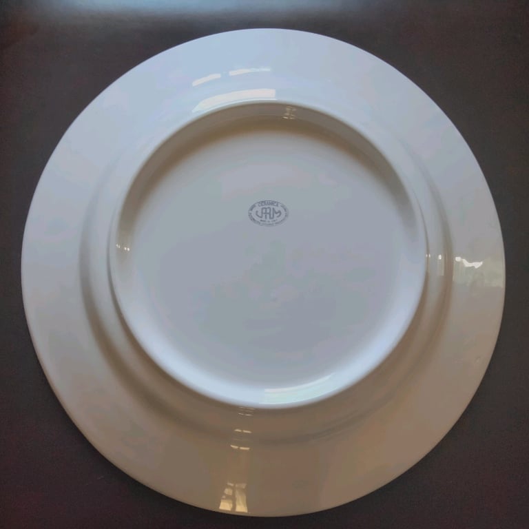 Large White Ceramica Serving Plate Bowl - Ideal for Entertaining Catering 