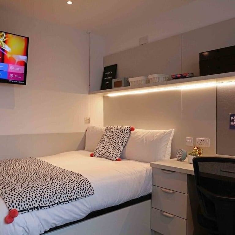 STUDENT ROOMS TO RENT IN SWANSEA. TRUE APARTMENT WITH PRIVATE ROOM, BATHROOM AND STUDY SPACE