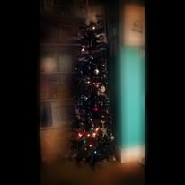 5' pencil pine Christmas tree 