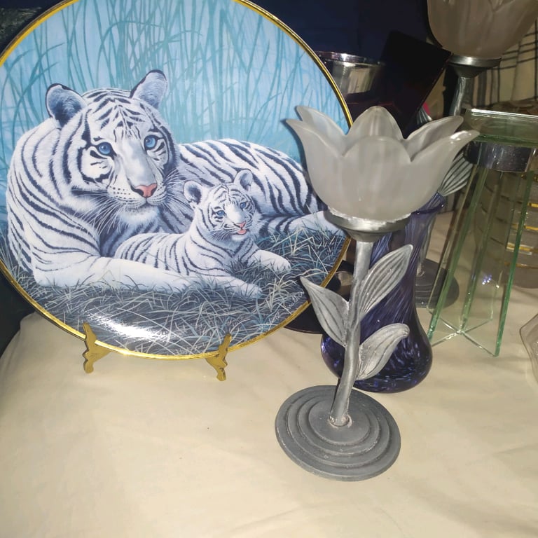 Some collectable plates have two others with flowers 