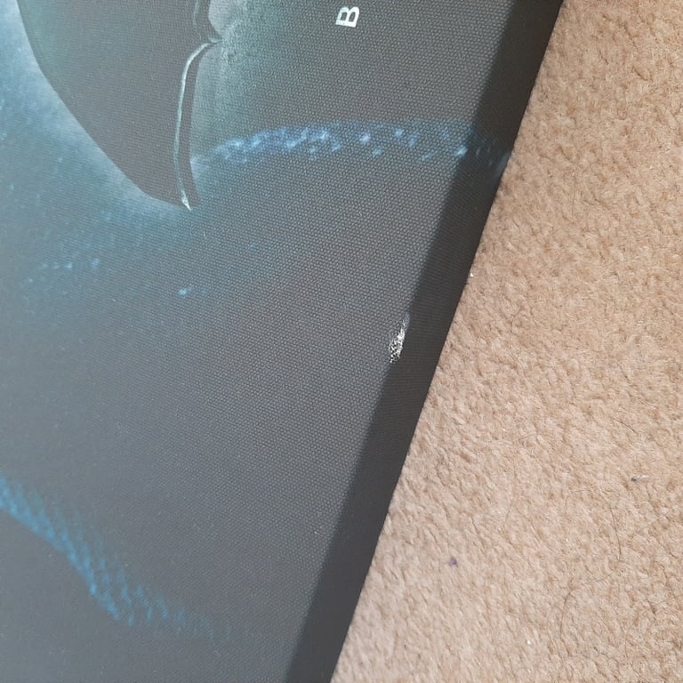 Batman vs super man canvas 