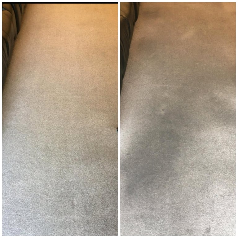 Affordable Carpet Cleaning & 5*Google Review