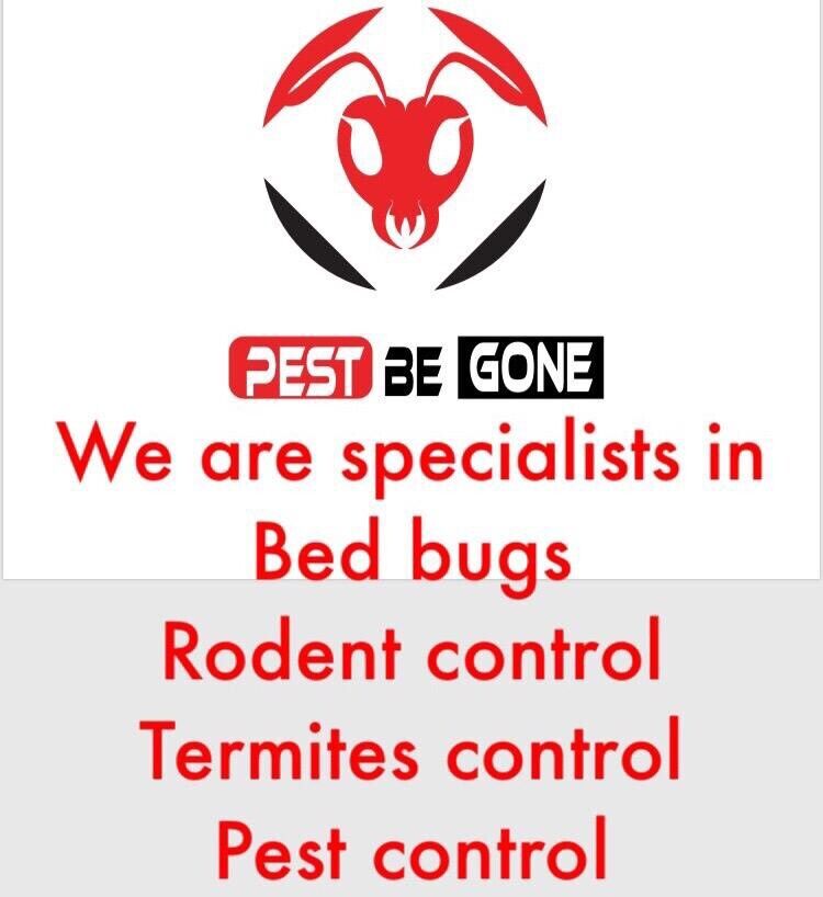 Pest control services Rat Mice Bedbugs Cockroaches Ants Moths call now