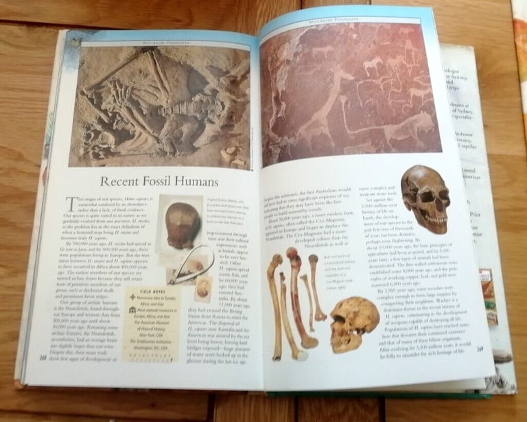 Collins Rocks & Fossils The Ultimate Guide To The Earth Hardback Book