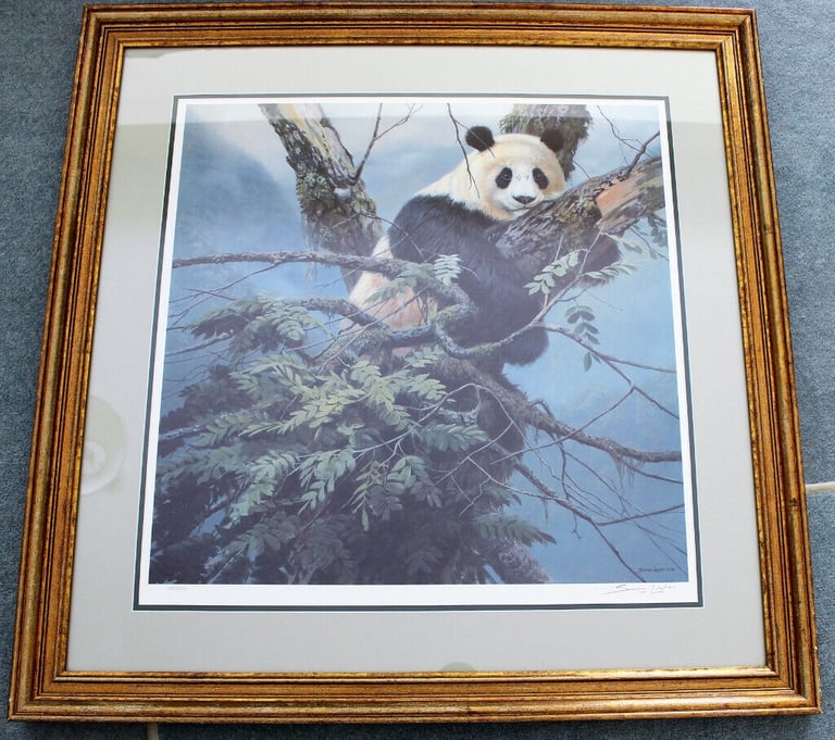 image for QUINLING PANDA. LIMITED EDITION PRINT BY SEEREY-LESTER