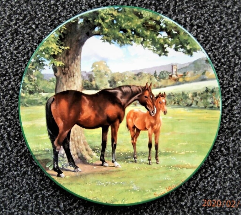 Fine Bone China Display Plate depicting Mare and Foal, signed by acclaimed artist Susie Whitcombe 