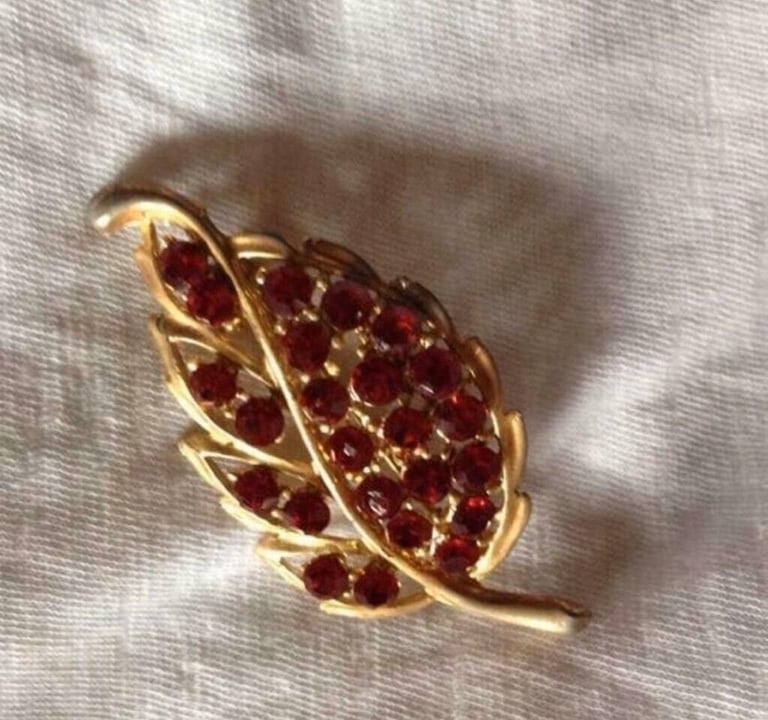 image for Red stone brooch..