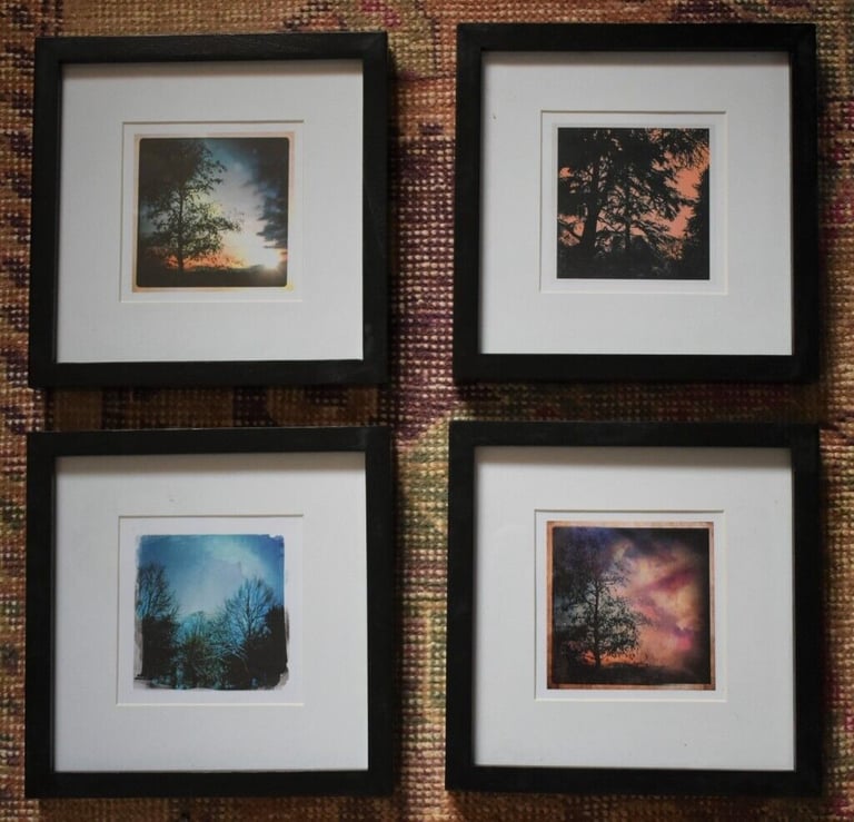 Set of 4 Trees Seasons Nature Photography Mixed Media Framed Contemporary Modern Art Work Square