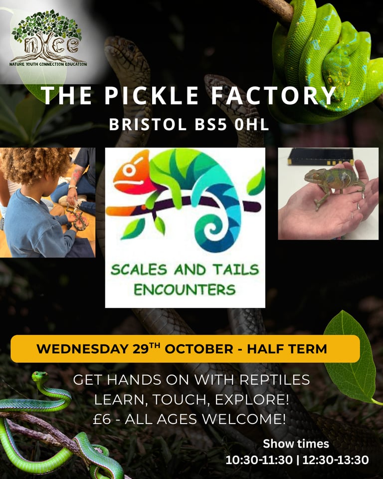 image for Scales and Tails at The Pickle Factory 