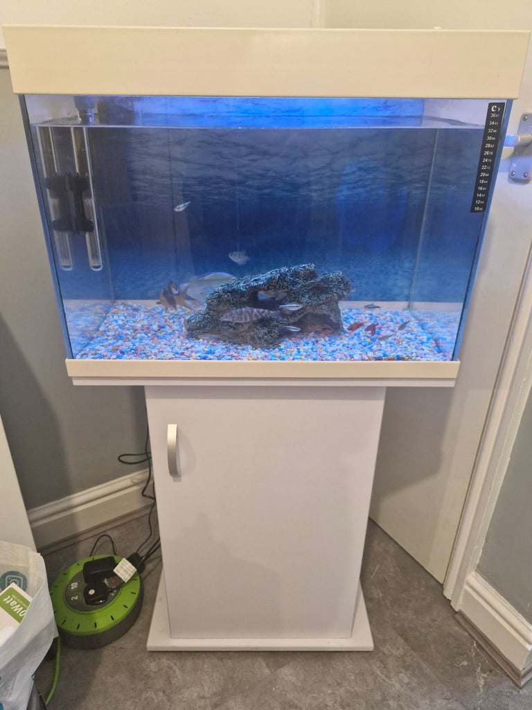image for Fish tank and Cabinet