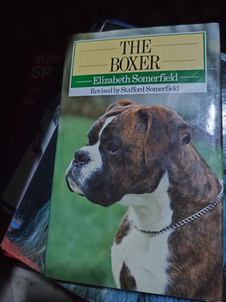 image for Boxer dog book
