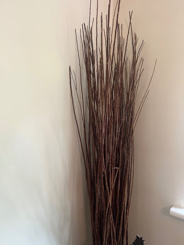Decorative Willow Twigs Branches