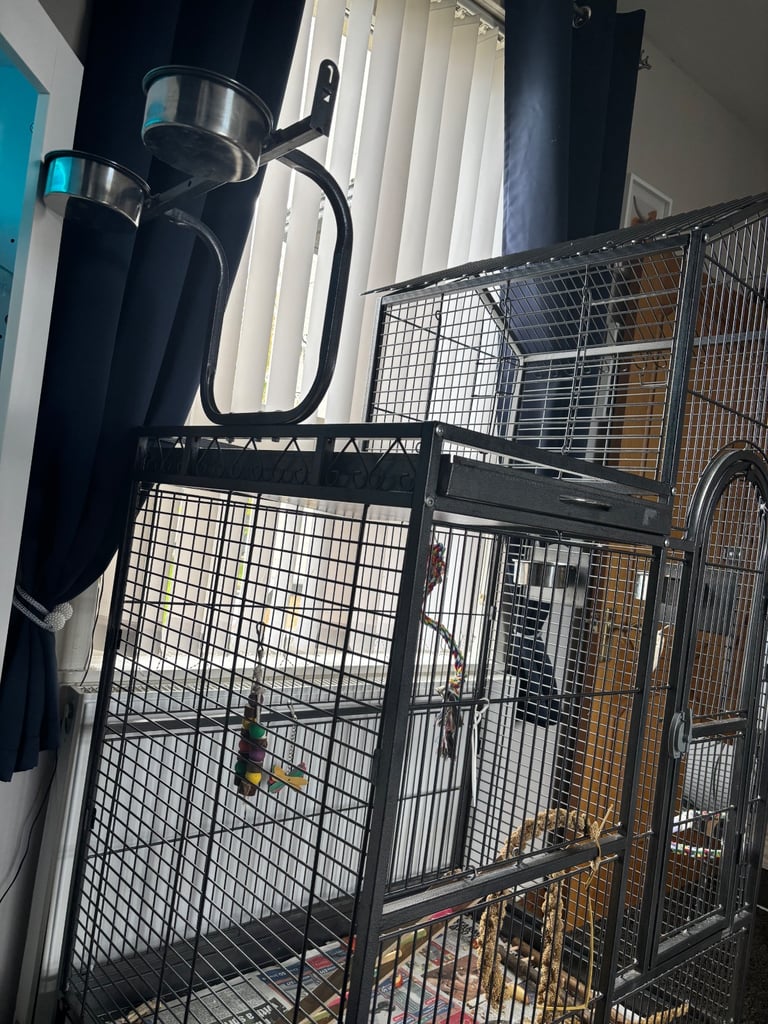 Parrot cage 