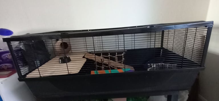 Hamster Cage
