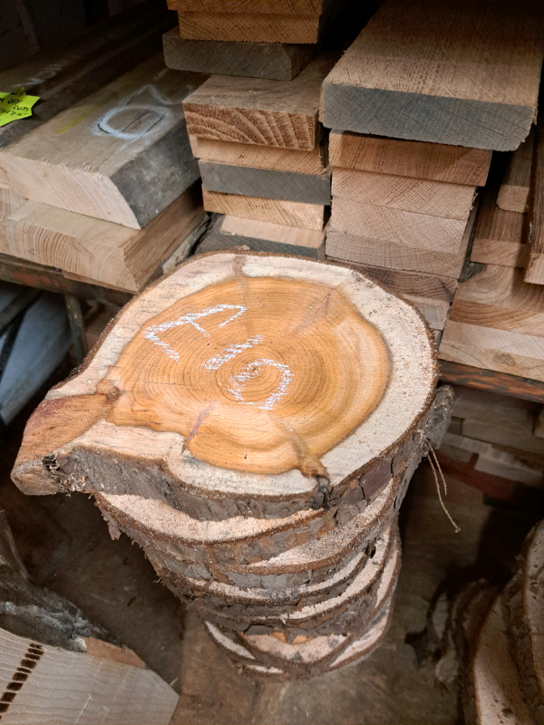 image for Yew cookies discs wooden tables toppers wood slices barked round SLAB WANEY EDGE LIVE