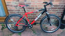 Raleigh MTB £50