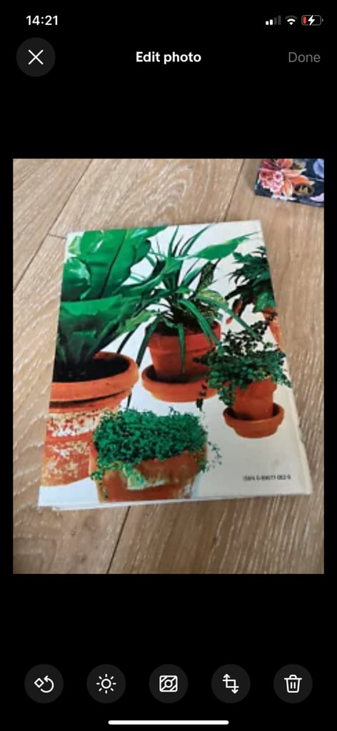 Success with house plants