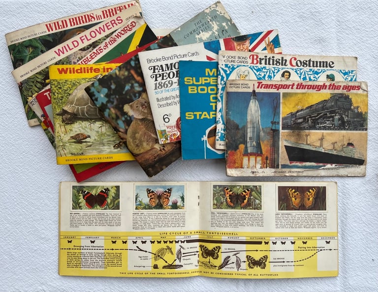 Vintage Colour Tea Card Collection