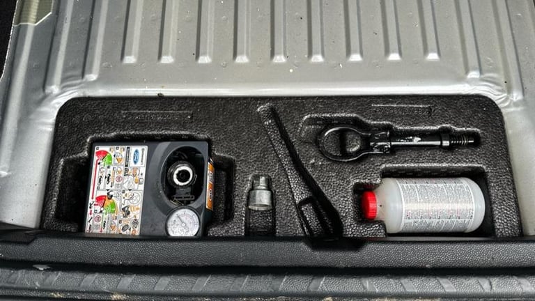 2022 Ford Ecosport 1.0T EcoBoost GPF ST-Line SUV 5dr Petrol Manual Euro 6 (s/s) (125 ps) Manua Ha...