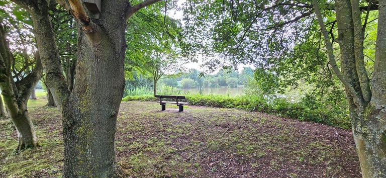 WILLERBY SALISBURY 35 x 12 Site Fees for 2026 included in price