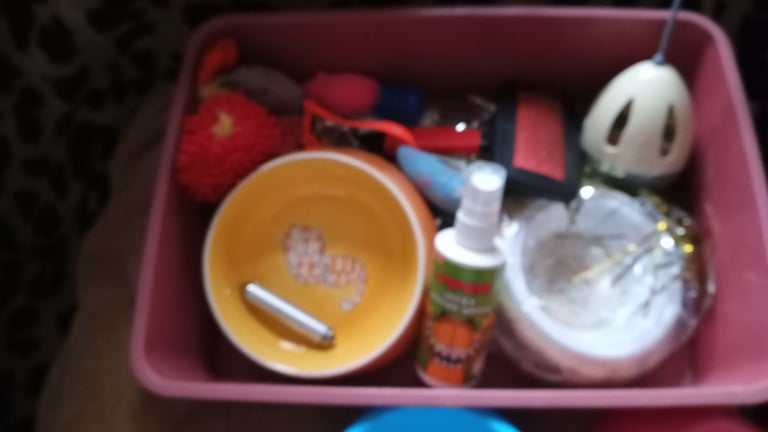 Cat bundle good condition £10