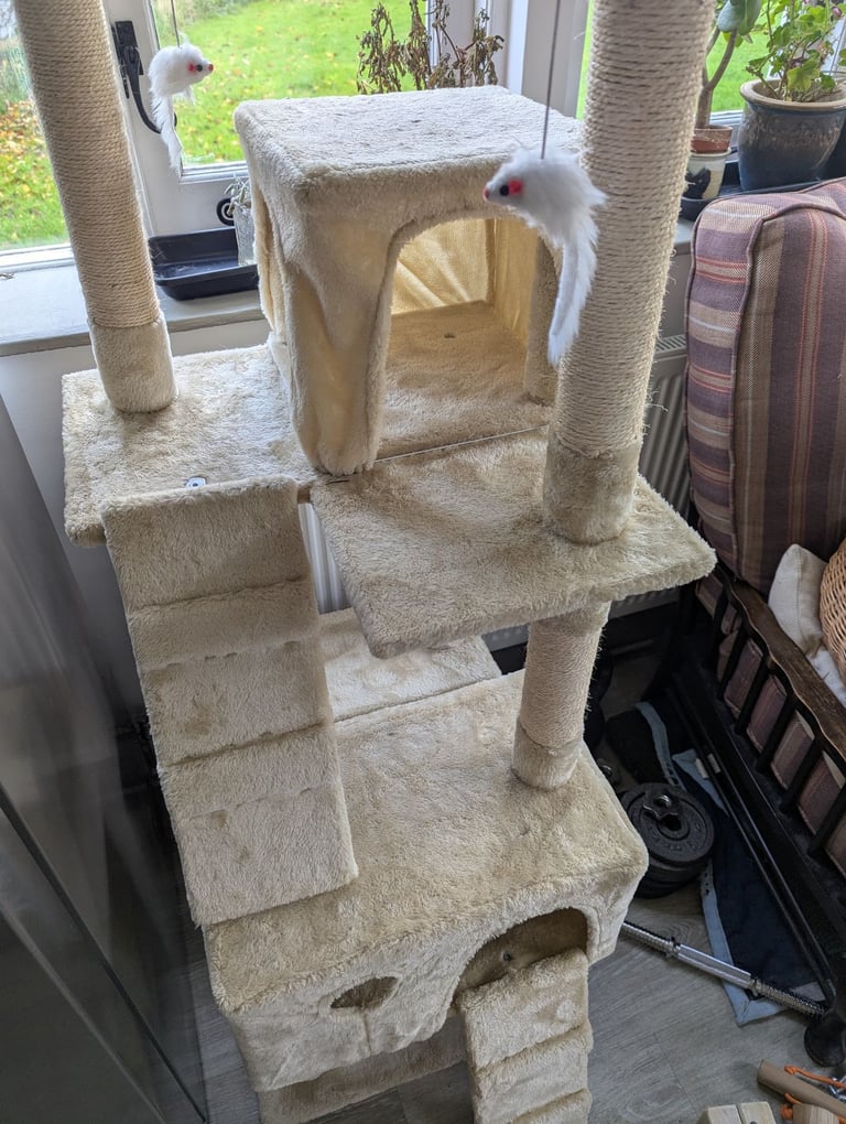 Cat tree 