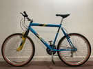 Apollo 18-Speed Mountain Bike with Front Suspension(26&quot;Inch Wheels,22&quot;Inch Frame),Ready to Ride
