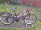 GIRLS TEENAGER YOUTH SABRE ORCHID 24 INCH WHEELS 14 INCH FRAME 18 SPEED BIKE BICYCLE