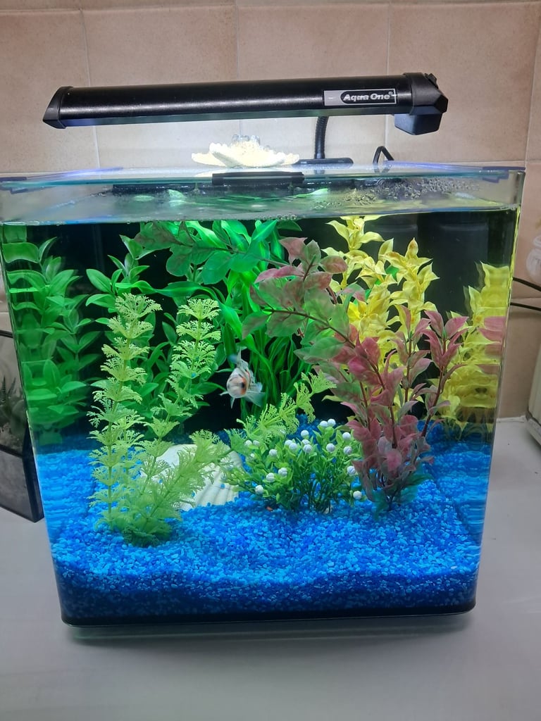 Cube fish tank 