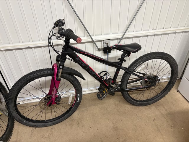 Carrera Luna Junior Mountain Bike Girls Carrera Luna Junior