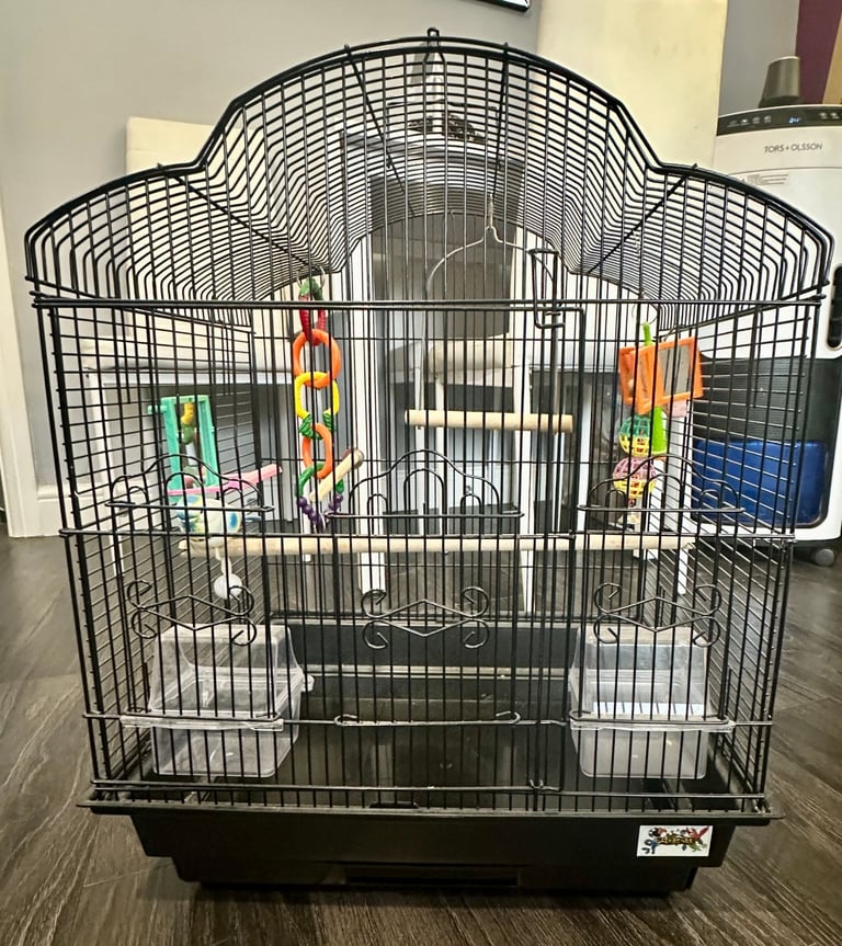 Small bird cage