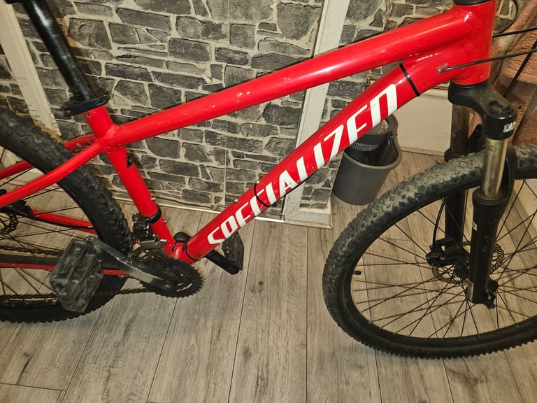 Specialized Rockhopper mountain bike