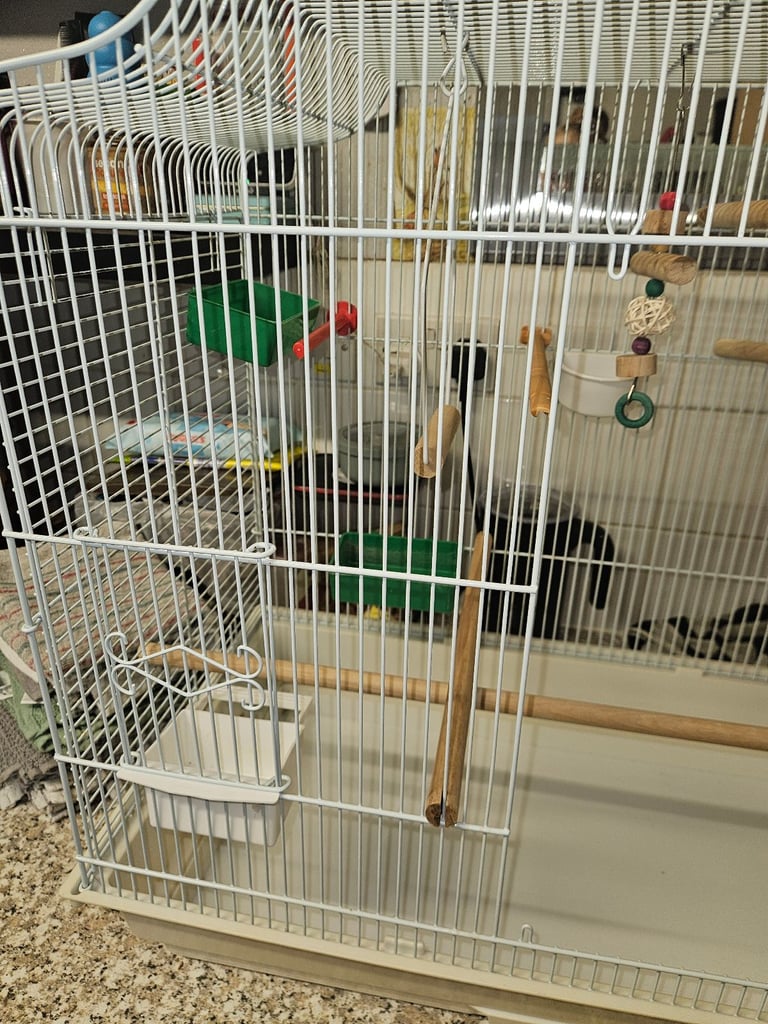 Bird cage for sale 
