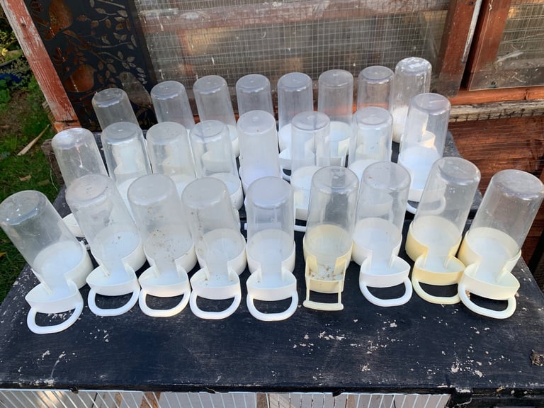 Bird feeders 