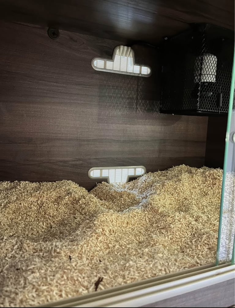 Small reptile vivarium