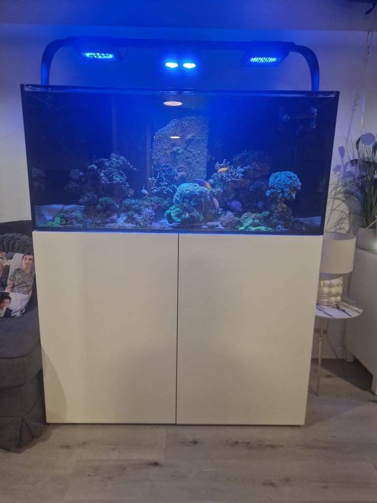 image for Complete Waterbox REEF Aquarium White - REEF 130.4 for sell