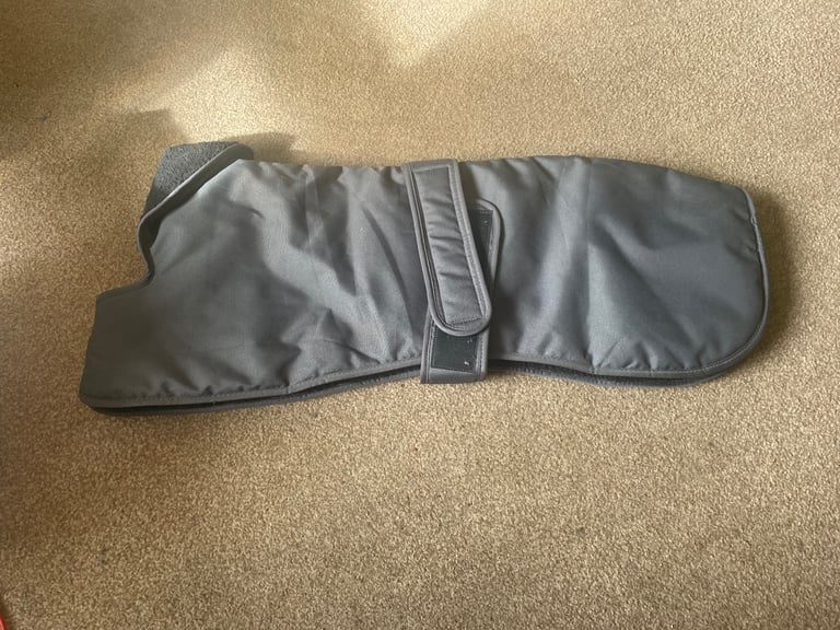 Greyhound Dog Coat 