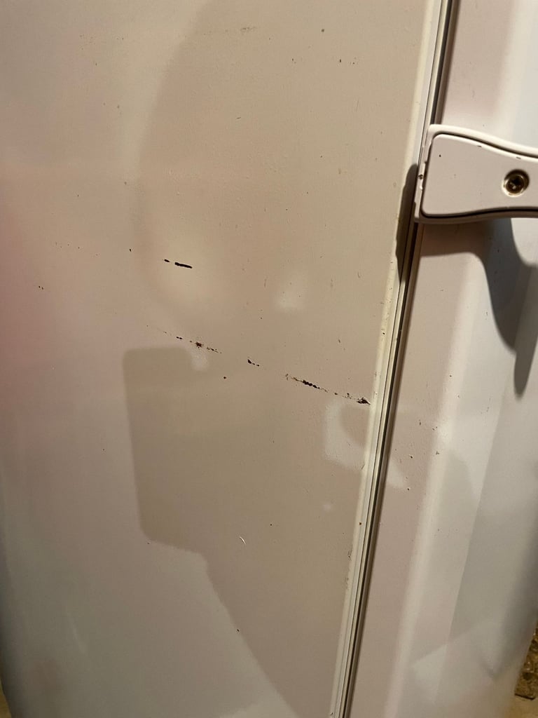 Hotpoint RLA52P Fridge in good working condition.