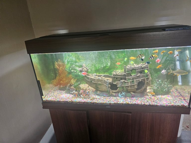 Jewel tropical fish tank open to offers 