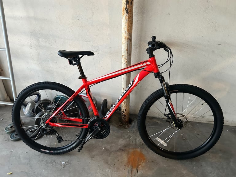 image for 1 specialized and 1 carrera