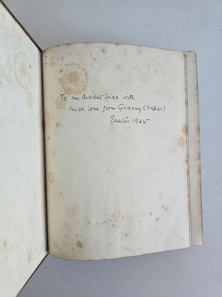 1883 Antique Large KJV New Testament w/Engravings Leatherbound English Bible Complete -142 Y/O