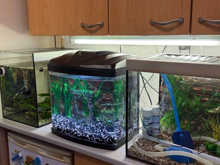 image for Fish / Shrimp Tank