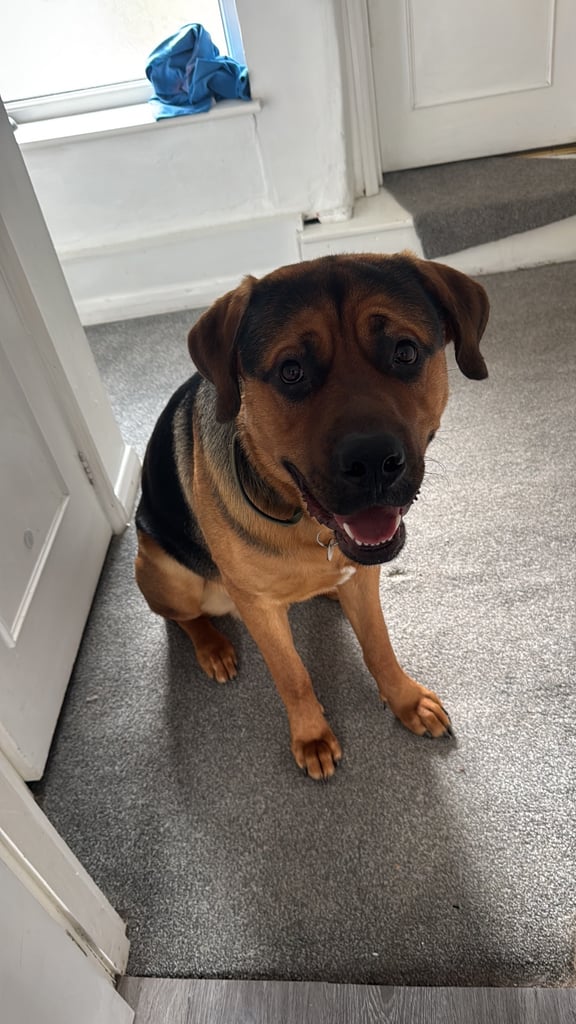 2 bed needed for end Jan 2026